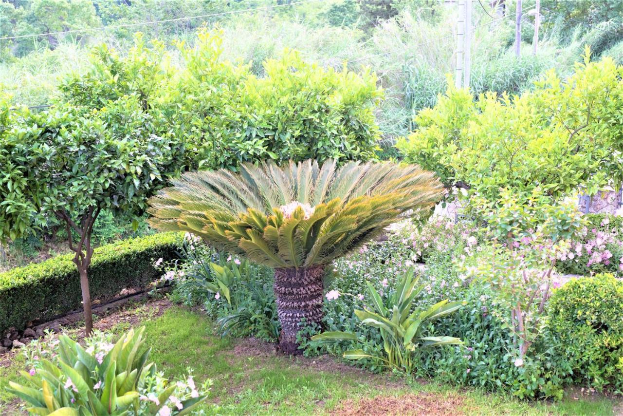 La Bella Vita - Luxury Holiday House Close To Corfu Town Potamos  ภายนอก รูปภาพ