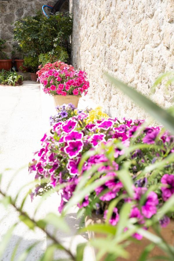 La Bella Vita - Luxury Holiday House Close To Corfu Town Potamos  ภายนอก รูปภาพ